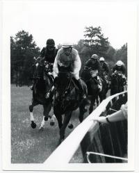 Foxfield Races, 1994